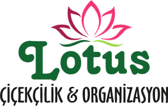 Bakı Bakı Çiçekçilik - Lotus Çiçekçilik