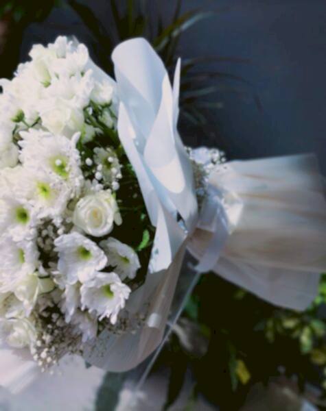 IMG20221008141455